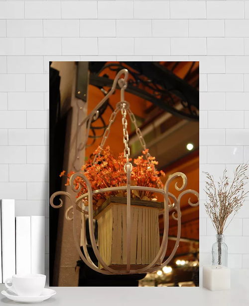 歐美風(fēng)格盆景掛籃攝影圖片 背景裝飾,高清攝影圖,歐美風(fēng)格,盆景藝術(shù),攝影圖片,生活百科,生活用品,室內(nèi)飾品,室內(nèi)裝飾,圖片素材,裝飾品 薛zhi圈